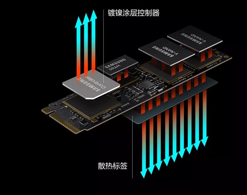 用鸽子传信,用鸽子送信