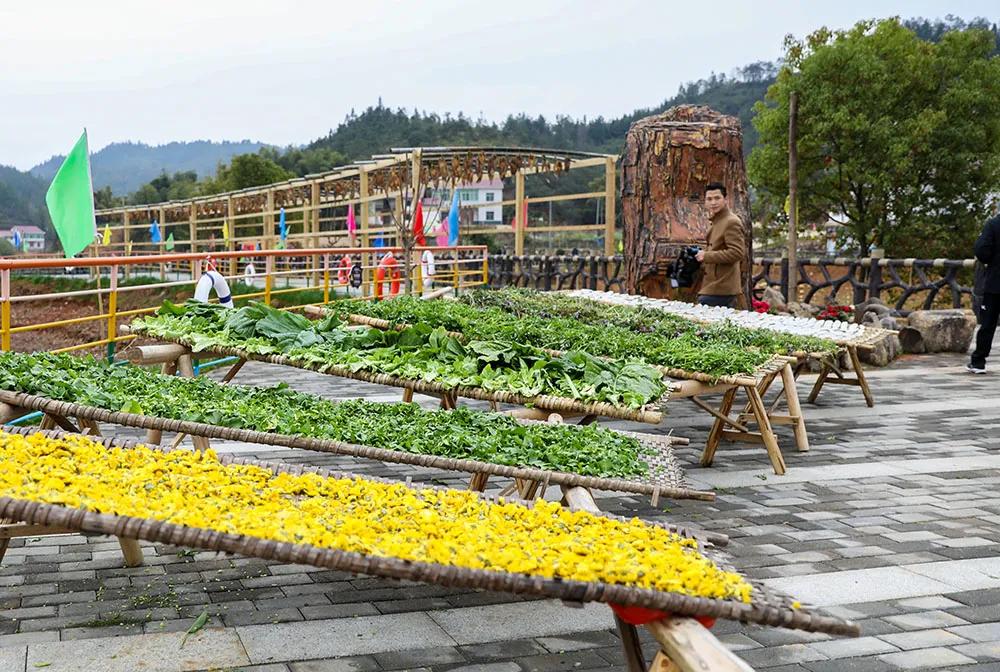 【谁不说咱家乡美】美丽中国，“乡”约万安（河西片）