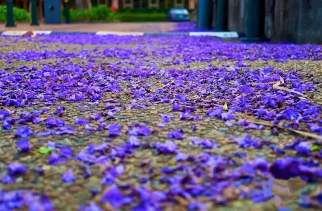 四川藏着一个静谧古城,四川被忽略的古城