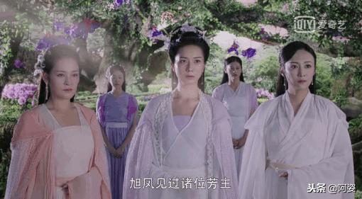 花界众芳主为何实力低下,花界长芳主和小鹭是什么关系