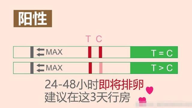 女性处在排卵期,身体会有信号发出,你接收到了吗?