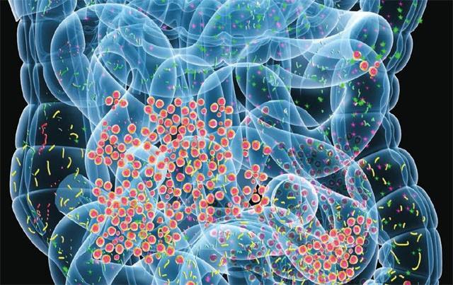 朋友还是敌人：如果没有微生物，地球会变得怎么样？