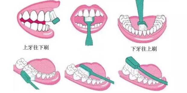 牙缝很臭？口腔有异味？你刷牙方式对过吗？
