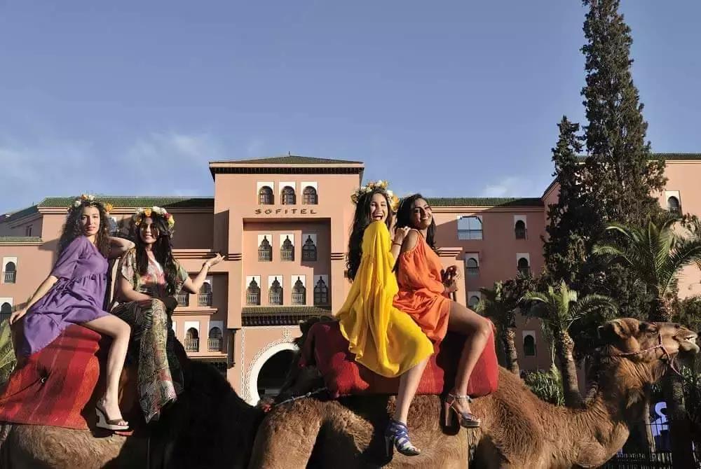 白本护照出境法国旅游免签吗,白本护照旅游去哪个国家比较好