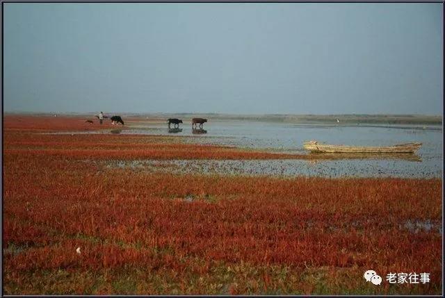 农村生活实拍,农村生活污水处理