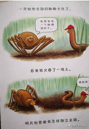 绘本蚯蚓的日记网络图,蚯蚓日记绘本完整版有多少页