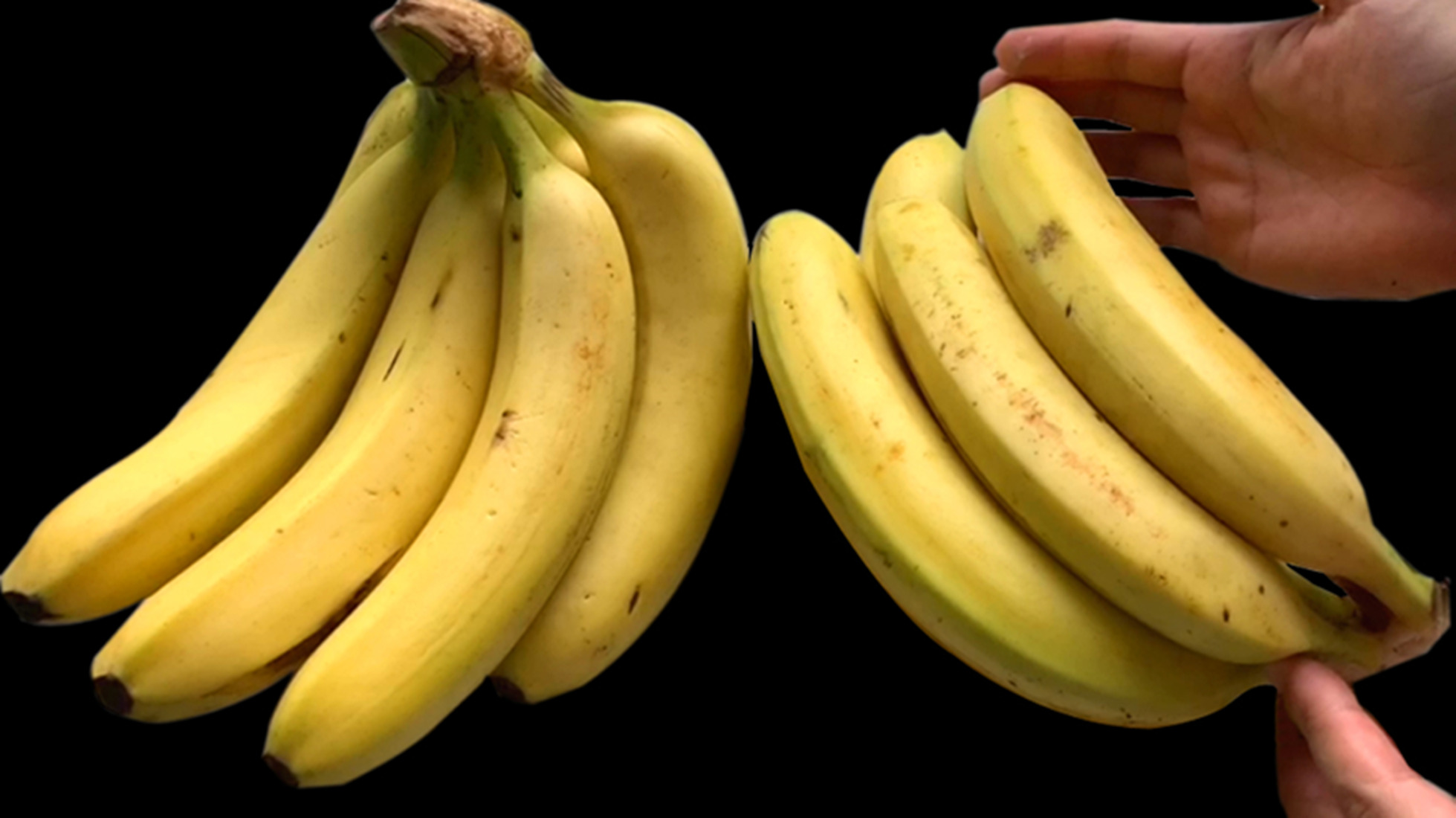 买香蕉买黄的还是买青的,买香蕉挑直的还是选有黑点的