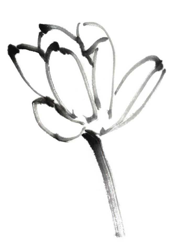 国画刘存惠荷花画法全视频,国画山水画教学视频荷花画法