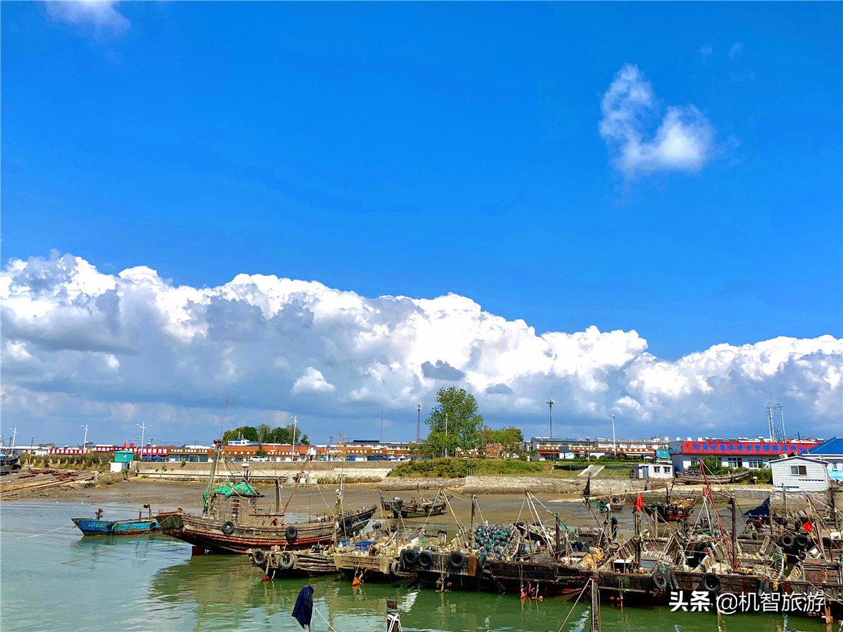 日照渔家乐带小院的住宿推荐,日照渔家乐民宿避雷