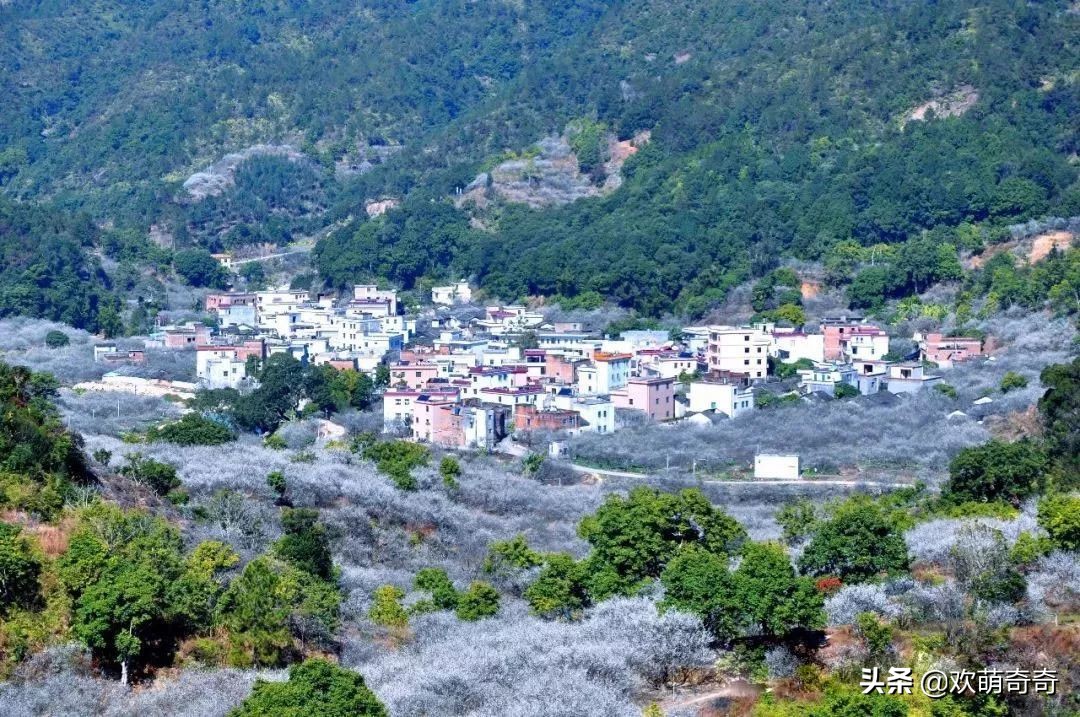 御水温泉陆河,御水湾温泉度假d区