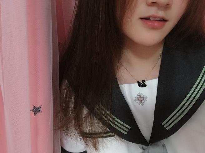 施华洛世奇经典银色天鹅,施华洛世奇黑天鹅搭配