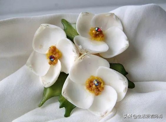 在贝壳里做上好看的装饰,简单的贝壳的工艺品