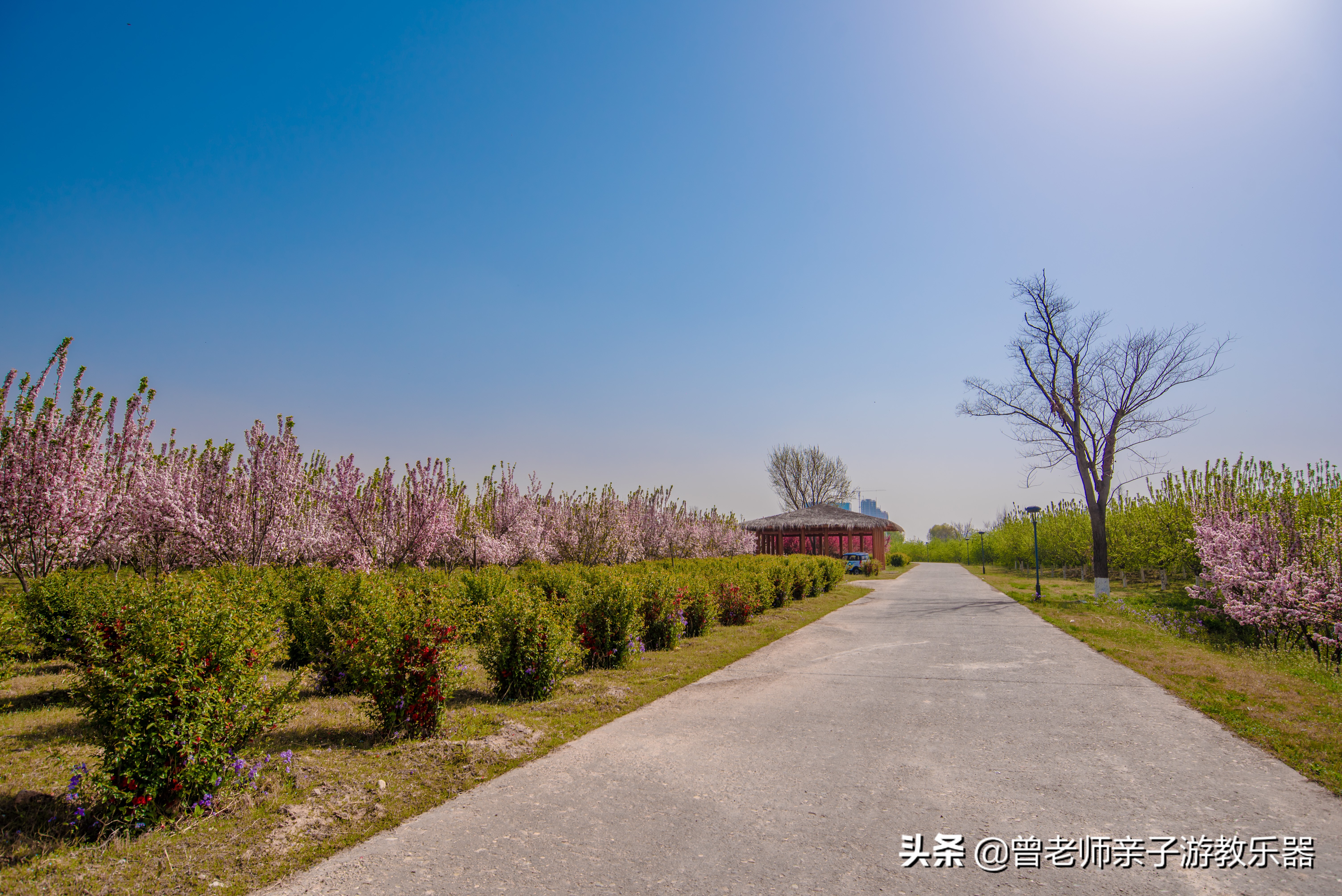 2022西安遛娃一日游的绝佳去处,2022年春节西安遛娃去哪玩最合适