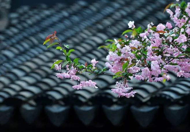 奇特有趣的问题,史上最稀奇的问题