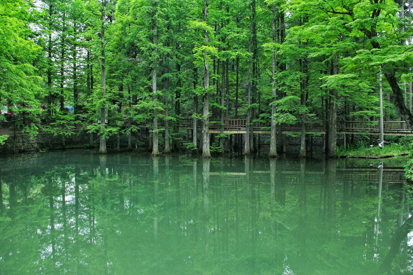 天台华顶山森林公园历史,李白来过天台吗