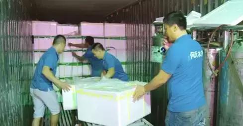 长途运输的鱼怎么入缸,短距离活鱼运输的技巧有哪些