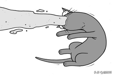 猫咪嘴里吐出半只蟑螂，我该怎么给它消毒，在线等！