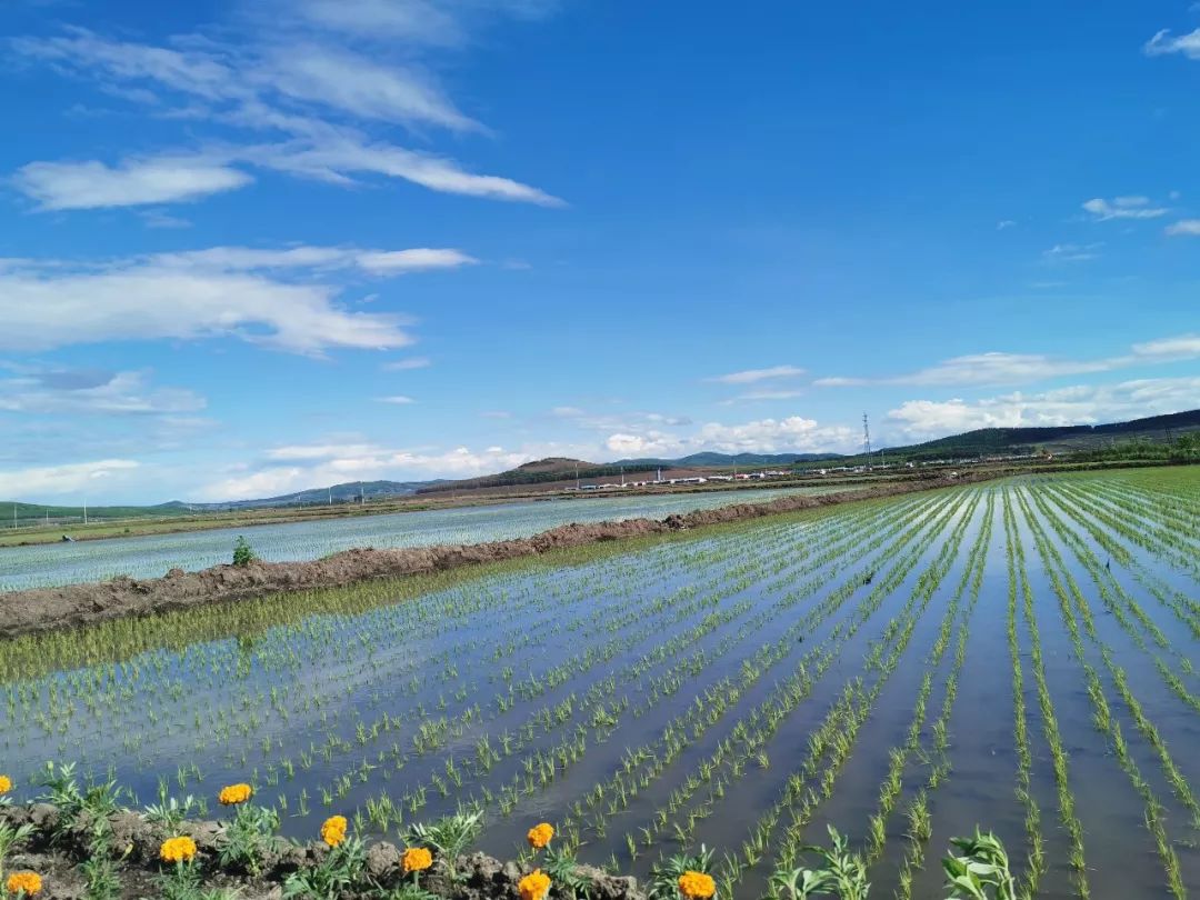 从农村娃到集团老板,从农民到董事长