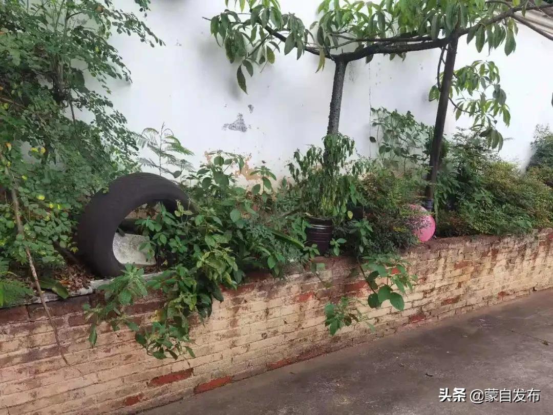 文明创建物业,社区物业文明创建工作存在问题