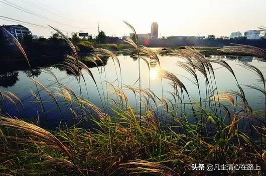 长沙南郊公园火车头公园,长沙最大公园叫什么公园