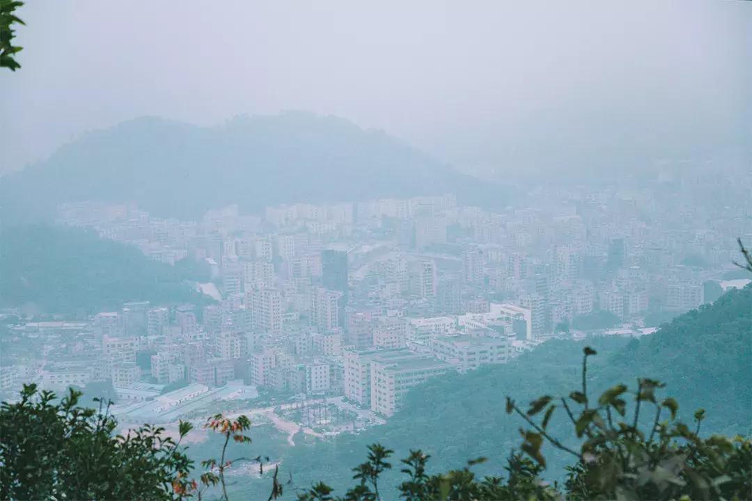 深圳这座城市很美,深圳这座城市风景太美了