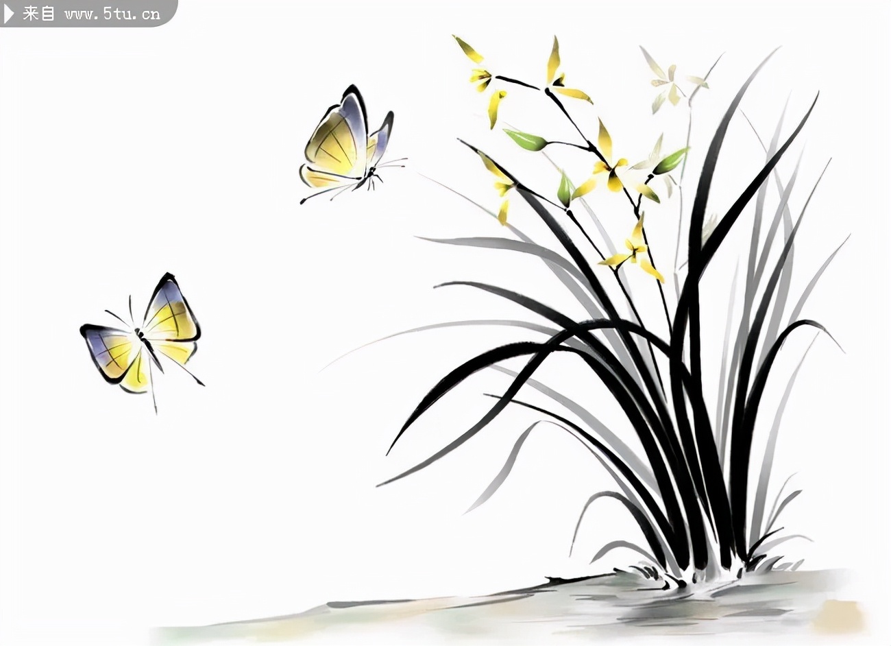 临汾市委第五次党代会报告,临汾市委五届三次党代会