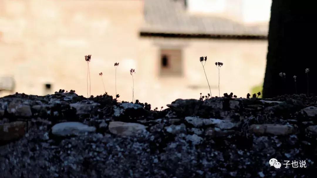 西班牙足球之旅,西班牙葡萄牙足球之旅