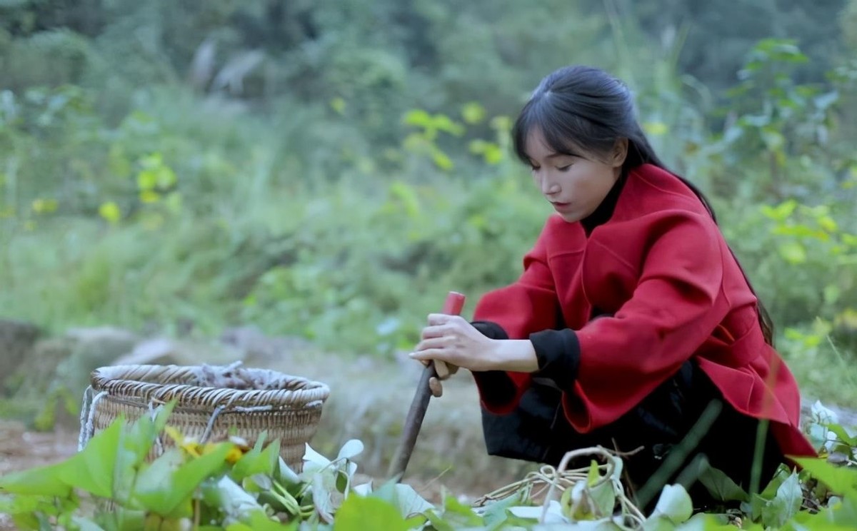 21岁韩安冉整容34次,21岁韩安冉整容35次