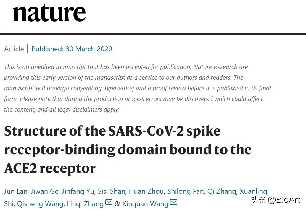 王新泉/张林琦、李放分别发表新冠病毒与人ACE2受体复合物结构