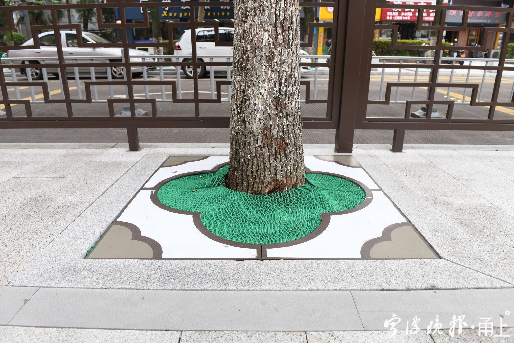 宁波最美上学路,宁波鄞州区新增5条最美上学路