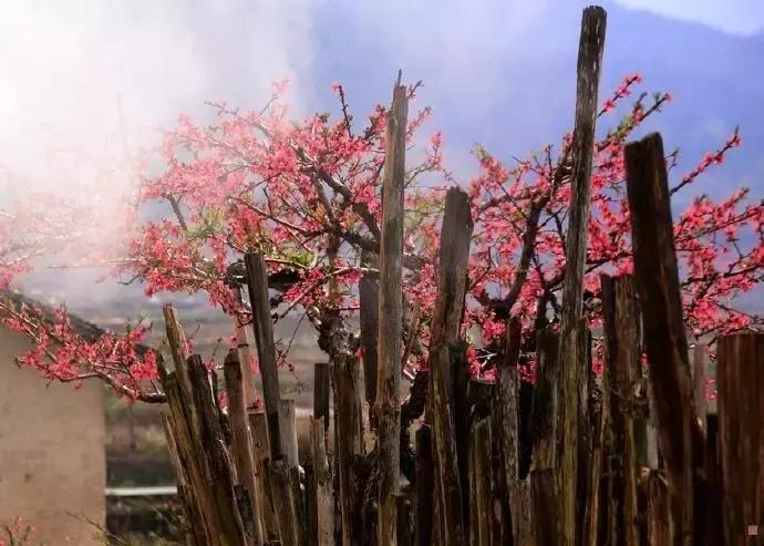 麟游旅游攻略一日游,宝鸡五一游攻略