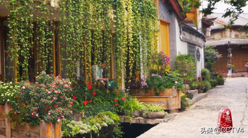 现在的丽江有多吸引人,丽江是一座来了上瘾的城市