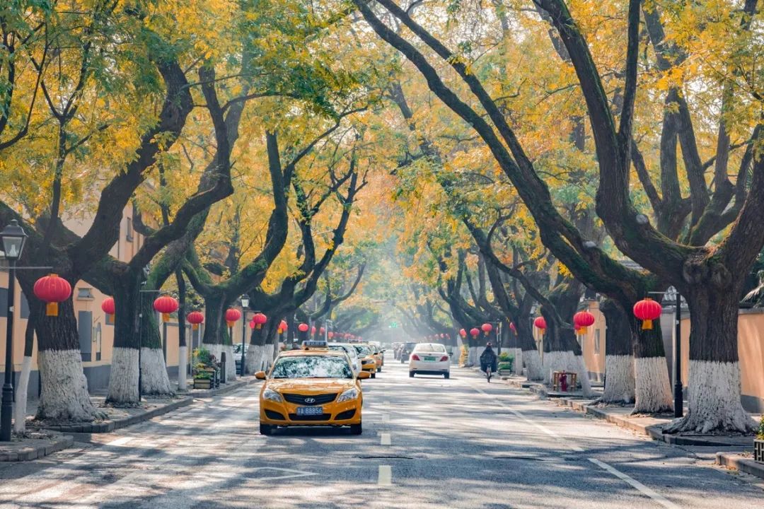 生活在南京的真实感受,南京适合生活嘛