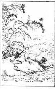 农业害虫防治法,中国古代农业怎么防止虫害