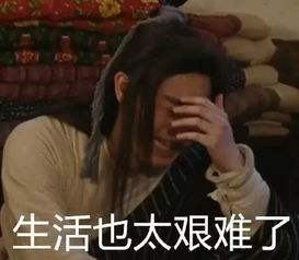 德国爱他美白金一段优缺点,新款德国爱他美白金版怎么样