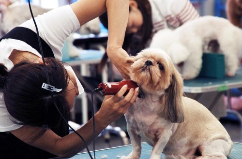 女生如果想创业适合开什么样的店,适合女孩子创业开的十五种店