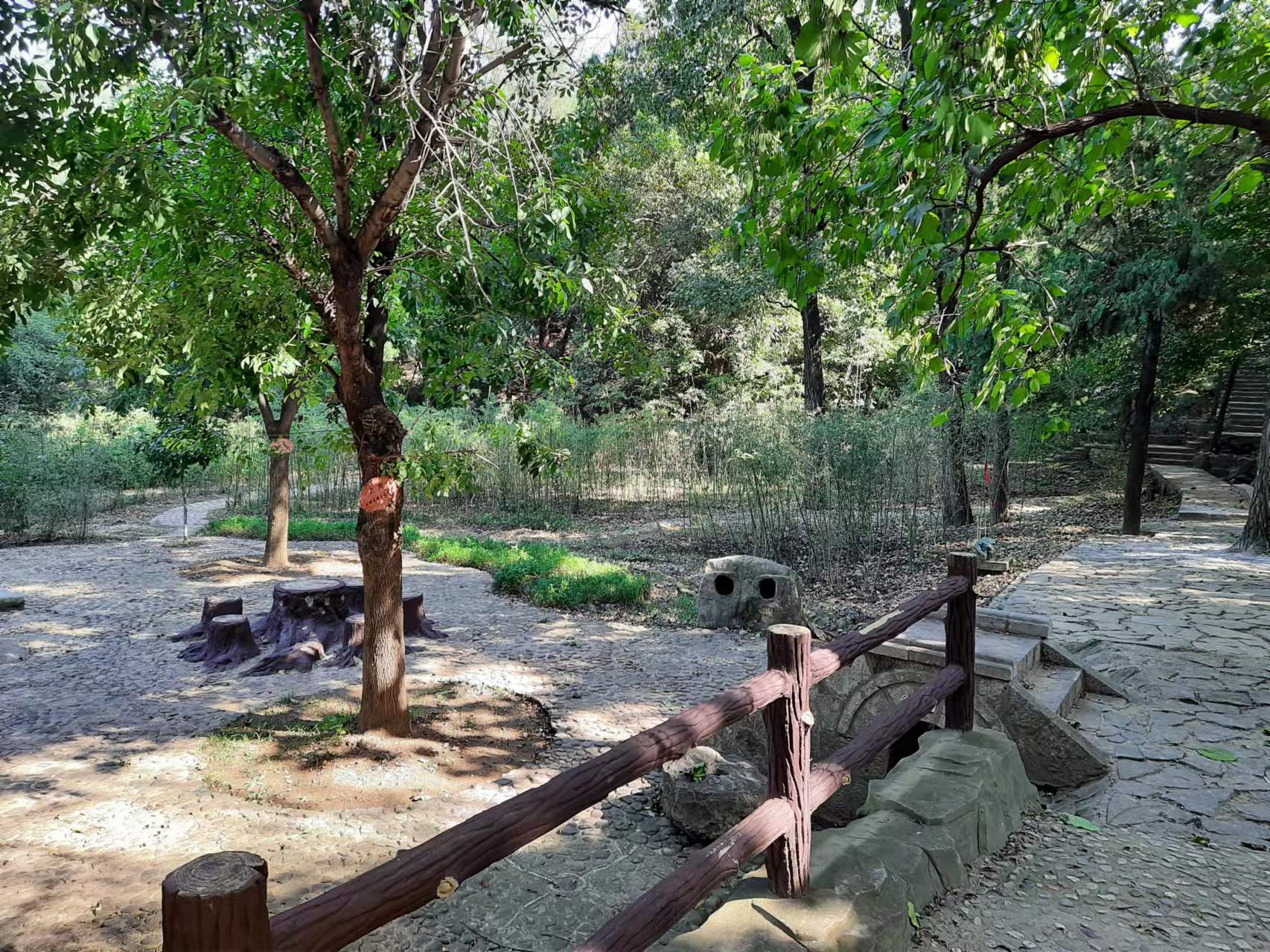 一个南方人对山东的看法,山东人在南方的印象