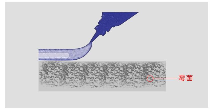 鍗敓闂存坊缃繖鍥涙牱濂界墿,鍗敓闂存坊缃繖浜涢珮绾ц揣