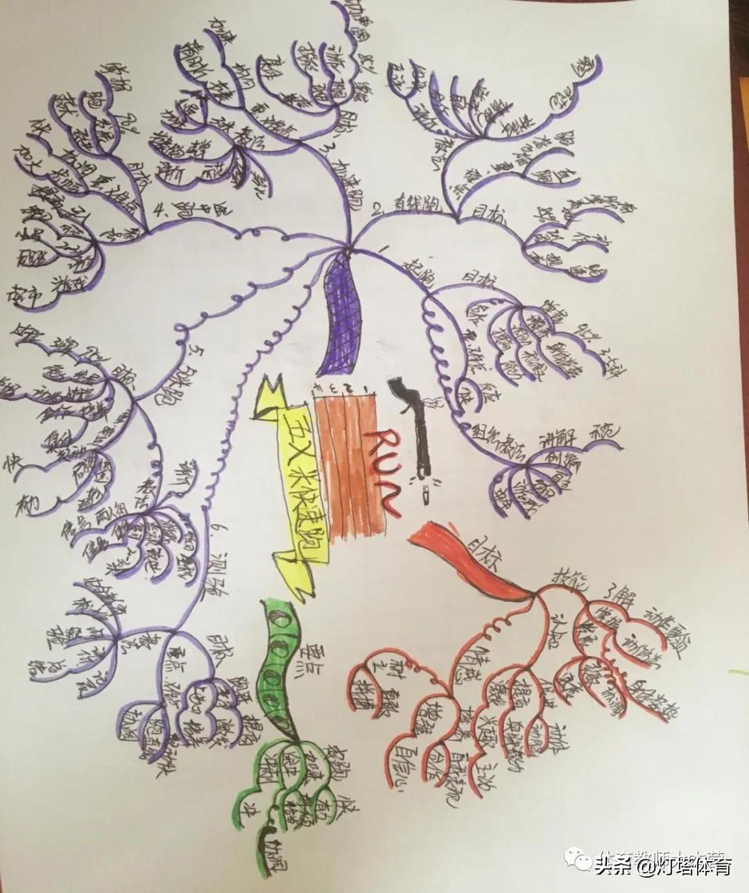 大班体育教案有趣的绳子公开课,体育课教学策略与设计