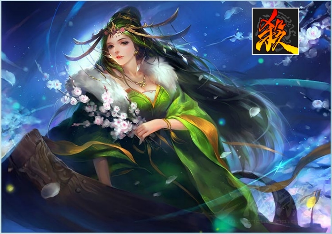 三国杀是什么年龄段玩的游戏,三国杀类型的游戏