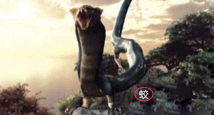 中国古代龙是干什么的,中国古代龙的演变过程