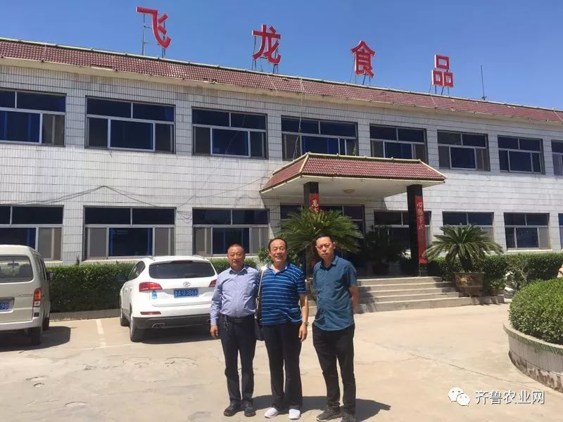 灞变笢椋為緳椋熷搧鏈夐檺鍏徃鐩栫珷,灞变笢瀵垮厜椋為緳椋熷搧鏈夐檺鍏徃