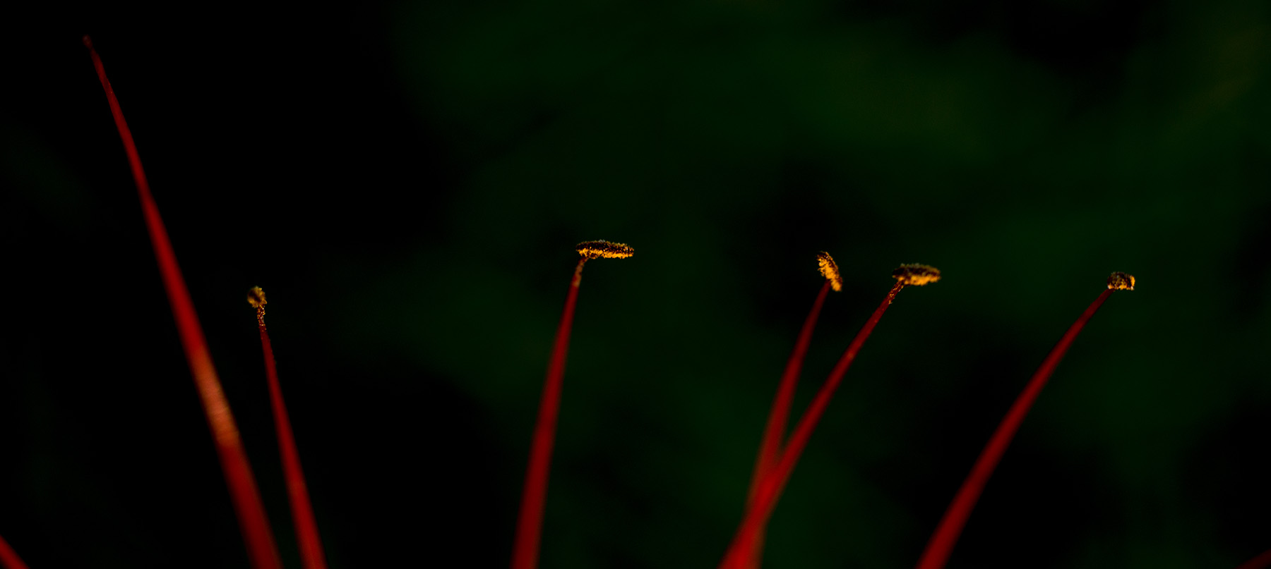 第9篇关于二手（这是个沉重而有趣的话题）