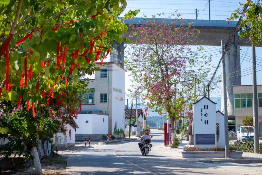 楹﹀厓鎽勫奖,楹﹀厓瑙嗛