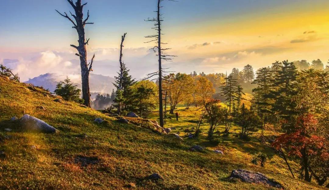 旅游景点畅玩团购,景点游玩优惠团购