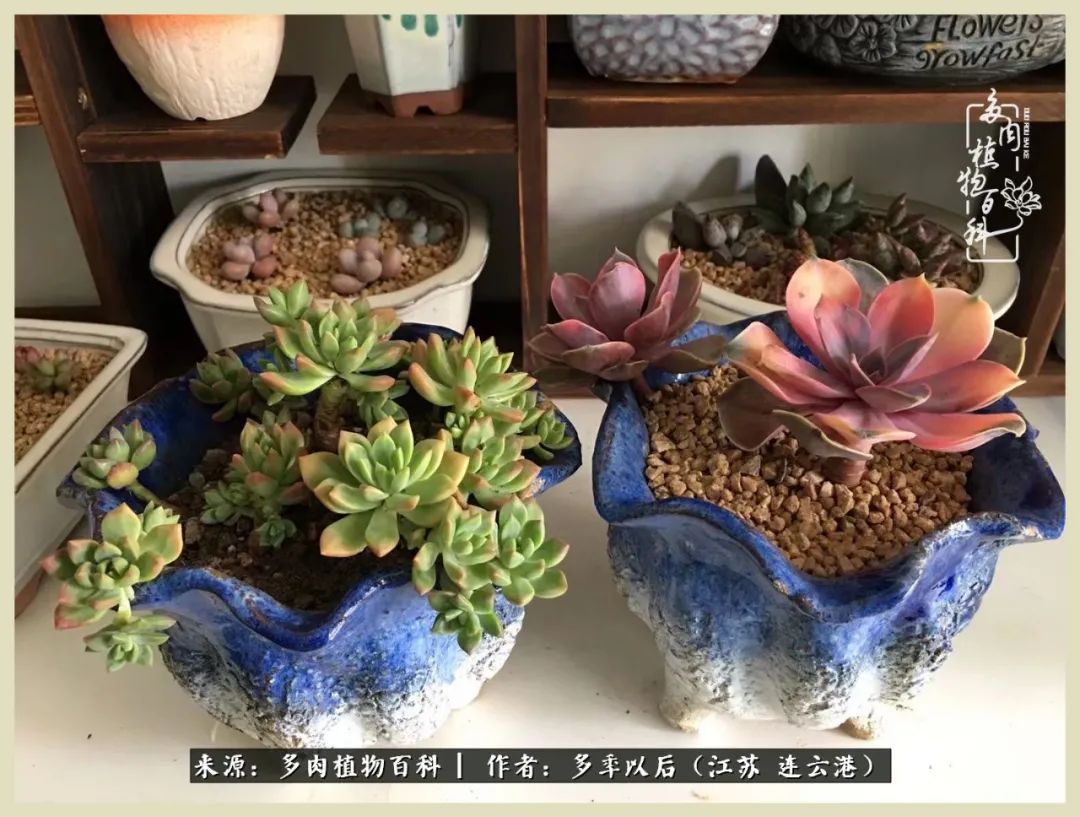 多去花前谈以后，少来月下忆当年