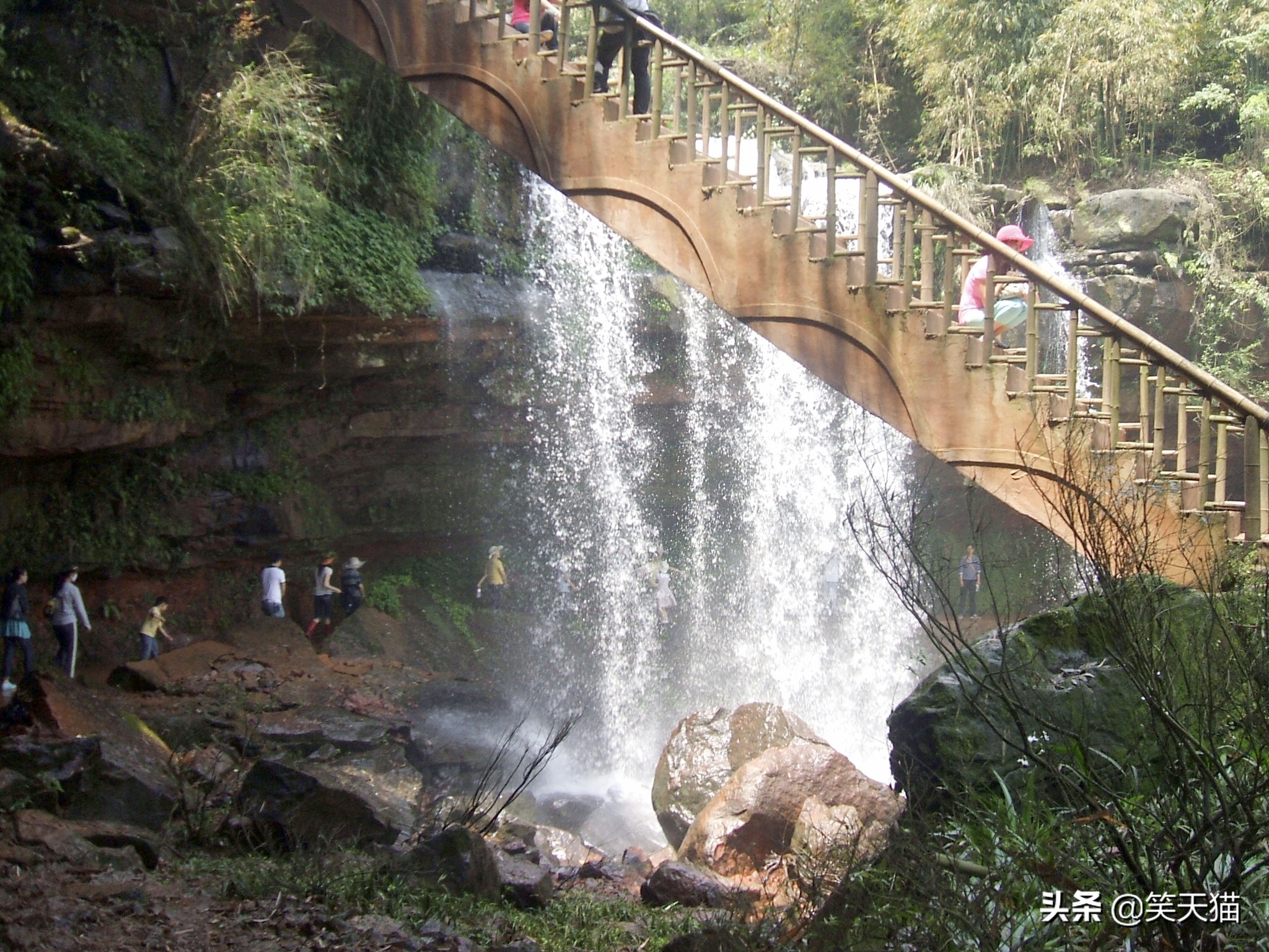 四川宜宾竹海风景,宜宾蜀南竹海全视频