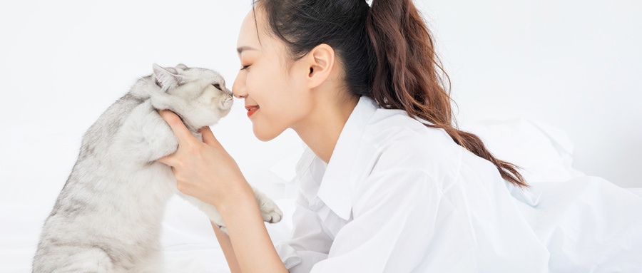 什么猫粮才是好猫粮,什么猫粮营养最好