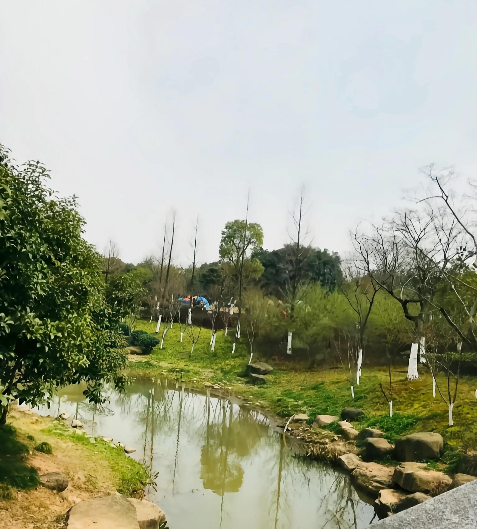 杭州最古老山峰，海拔仅有351米，景色却不输天目山