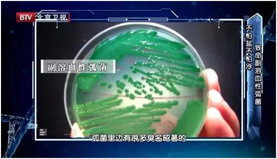 冰箱有异味可能是细菌爆满,冰箱冷藏食物过久会滋生哪些细菌